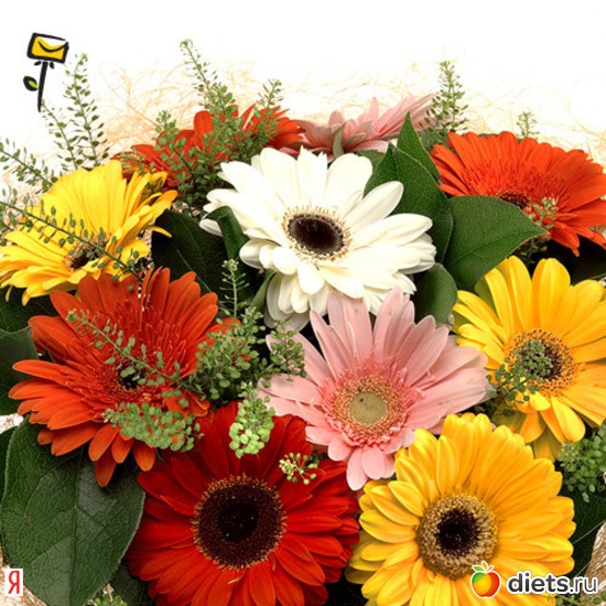 3 ����: ��������