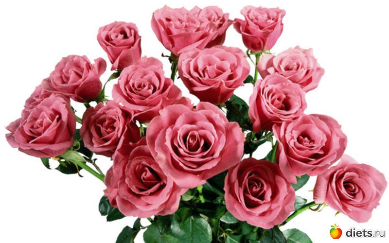 4 ����: ��������