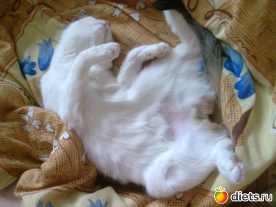 1 фото: Муся