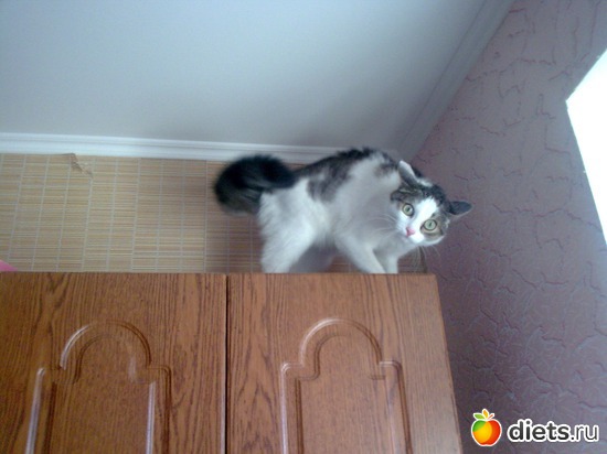 4 ����: ����