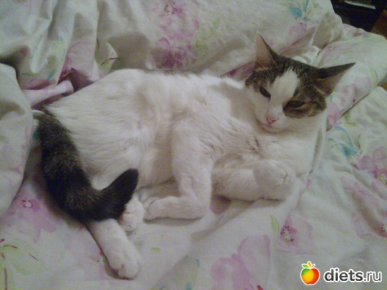 5 фото: Муся