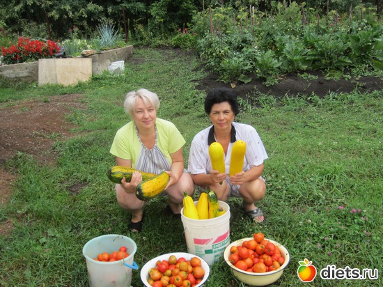 ��������-� �����.������ 2011, ������: ��� 53