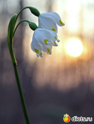 На закате...