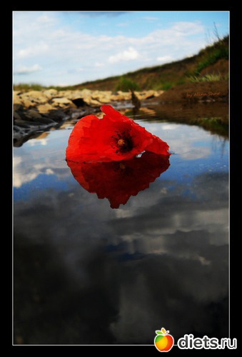 Одиночество...