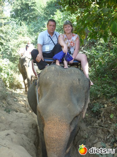 8 фото: Таиланд