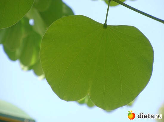 ВСЁ НАЧИНАЕТСЯ С ЛЮБВИ