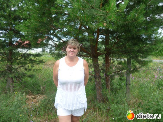 3 ����: ������