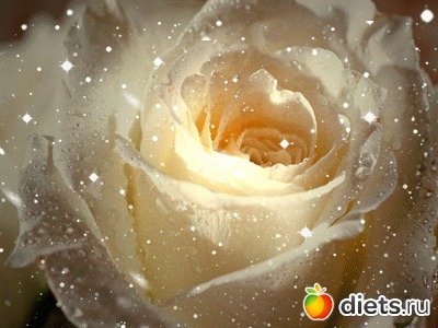 Разные картинки