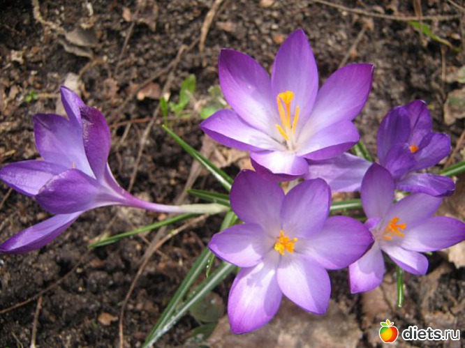 47 фото: Разные картинки