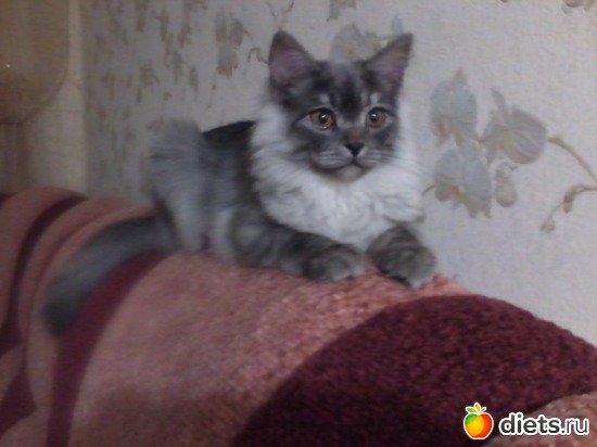 6 ����: ��� �����