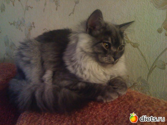 10 ����: ��� �����