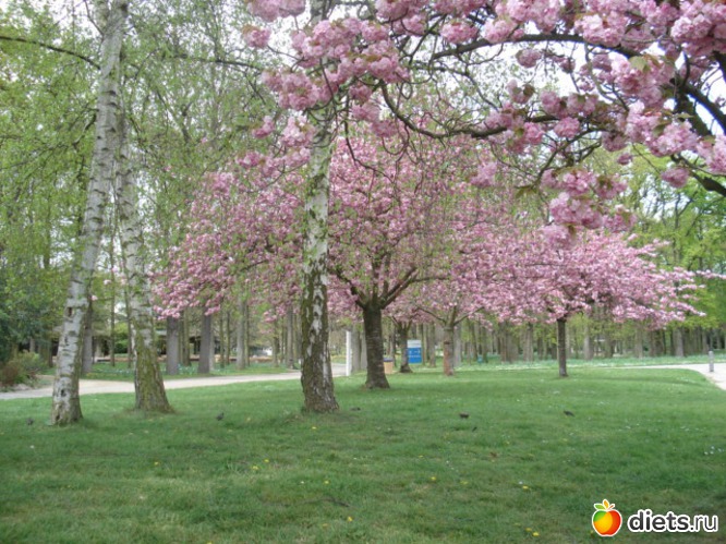 русско_японская :)