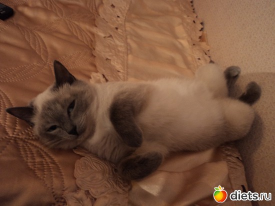 3 ����: ��� �!