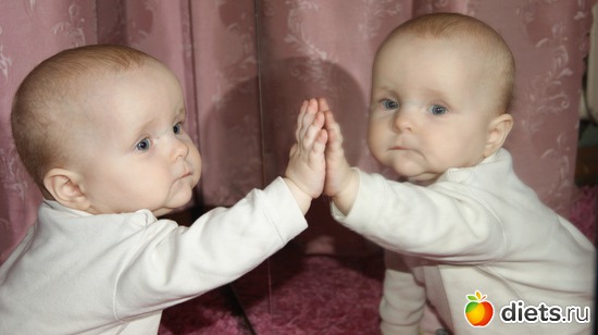 ����, ������: ��� �����