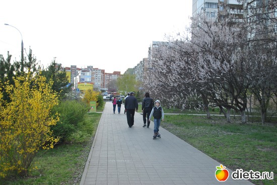 �������� ��������. 13 ������ 2012�., ������: ���������