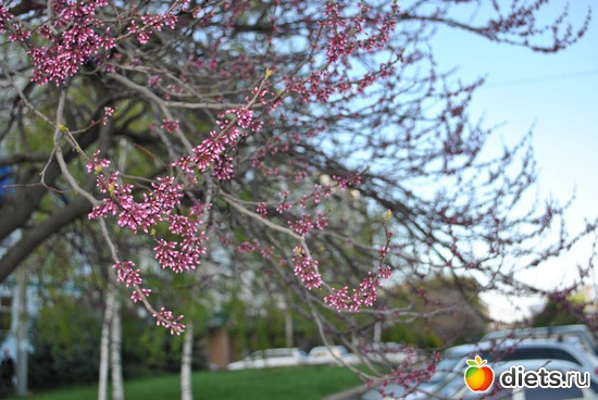 ��������!, ������: ���������