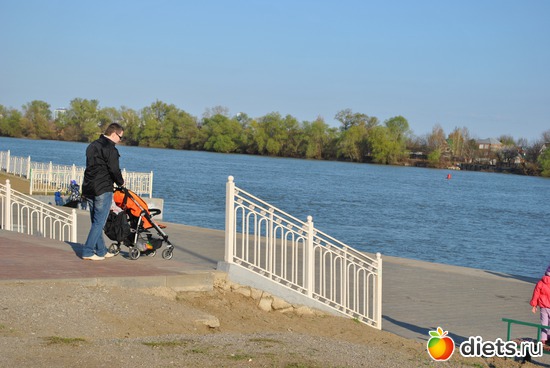 ����� �.������, ������: ���������