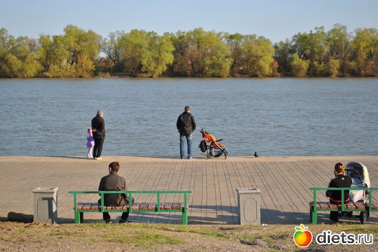 �����������, ������: ���������