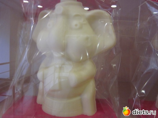 48 ����: �������--�����