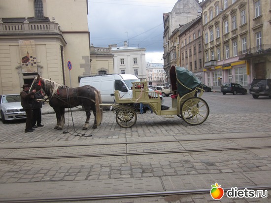 2 ����: �������--�����