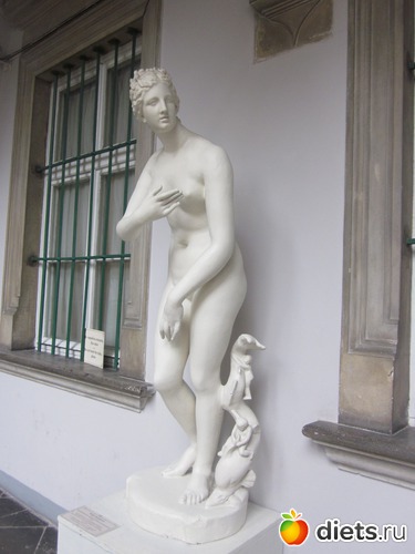 33 ����: �������--�����