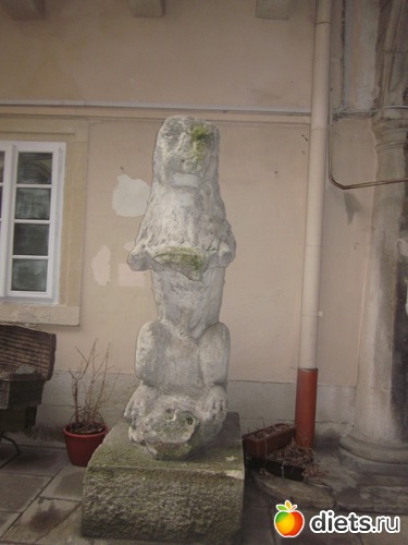 36 ����: �������--�����