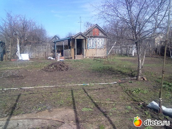 1 фото: всякое