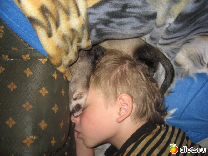 Хитрюля и сын, альбом: Мои хори