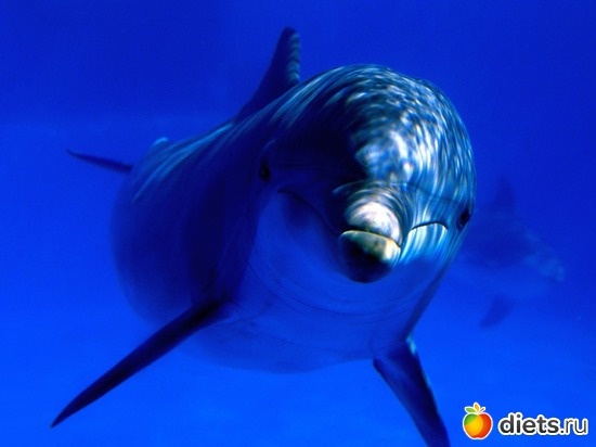 2 фото: Океан