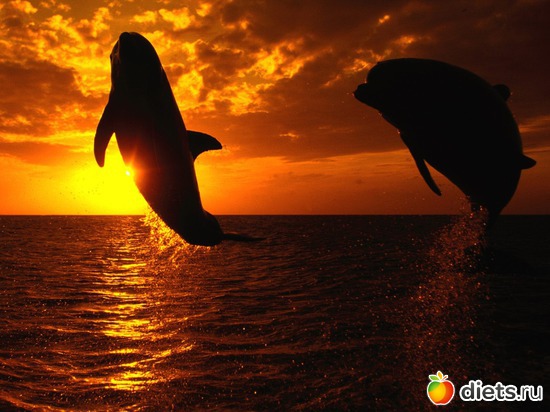 3 фото: Океан