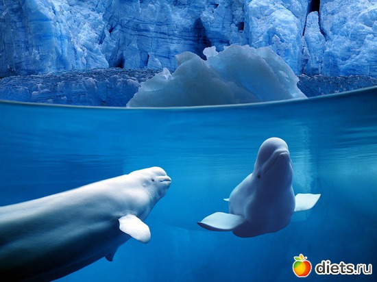 6 фото: Океан