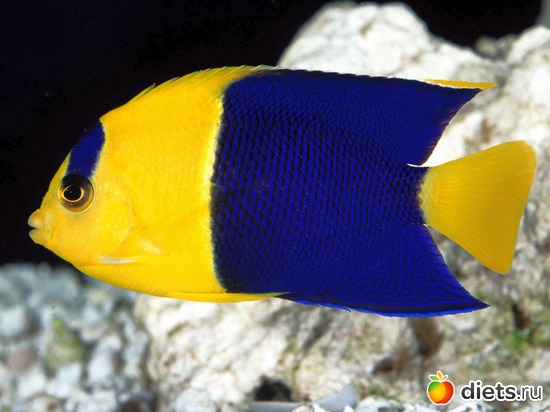 7 фото: Океан