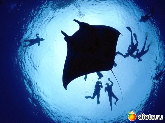 10 фото: Океан