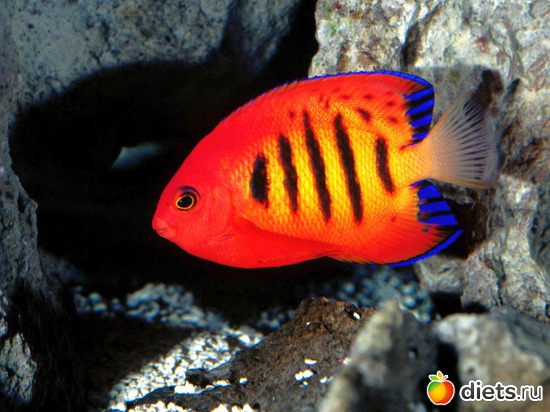 11 фото: Океан