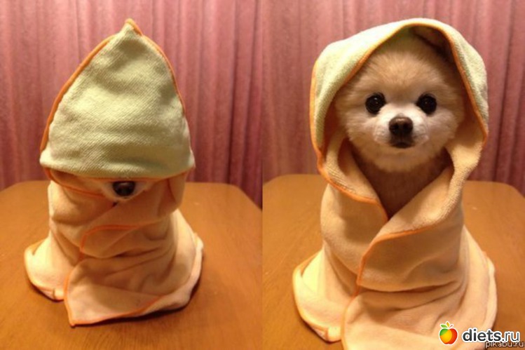 7 фото: улыбнуло))))))