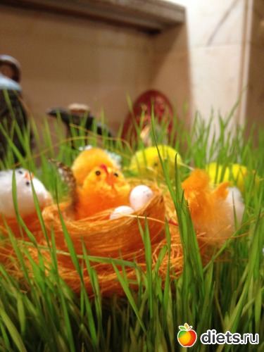 2 ����: �����