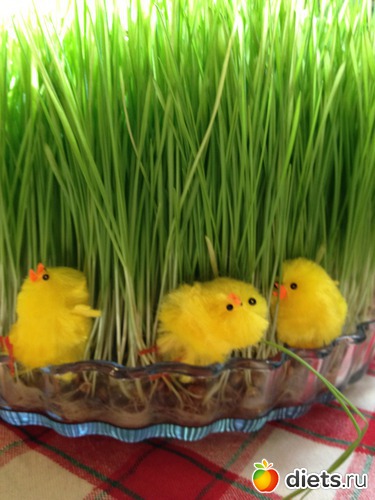 6 ����: �����