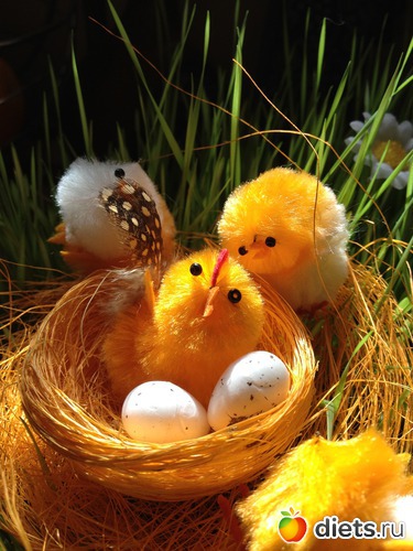 7 ����: �����