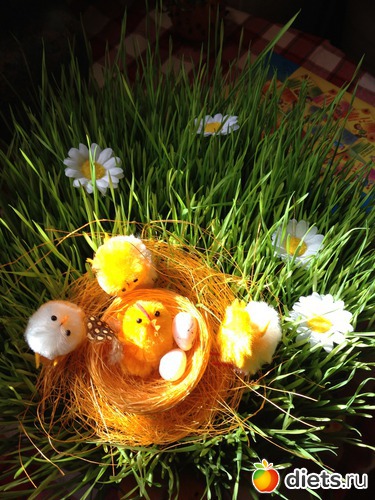 8 ����: �����