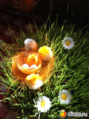 9 ����: �����