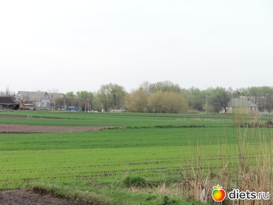 8 фото: ВЕСНА