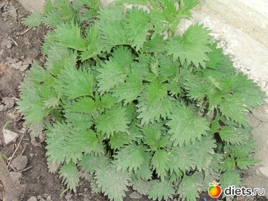 16 фото: ВЕСНА