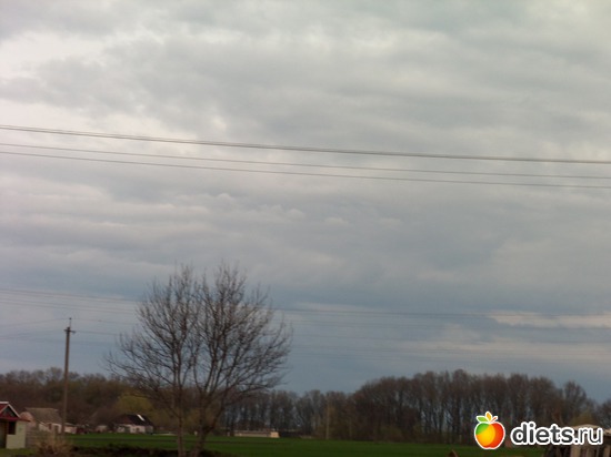 20 фото: ВЕСНА