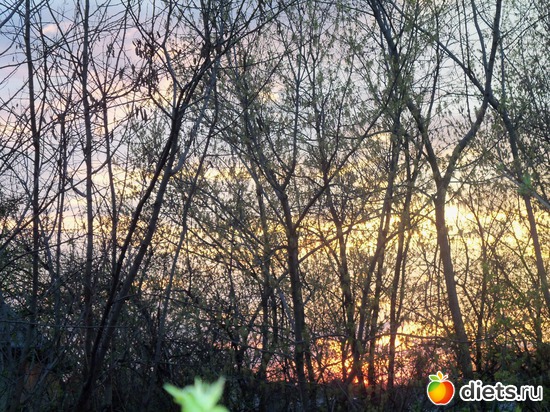 26 фото: ВЕСНА