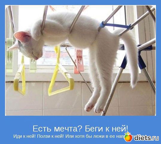 �� �������