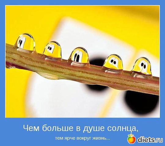 �� �������