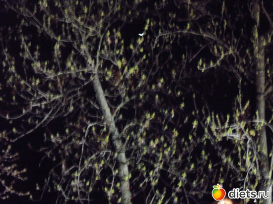 33 фото: Ночной Киев. Весна. Апрель-май.2012