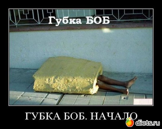 16 ����: �������