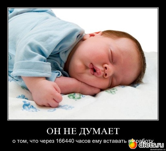 17 ����: �������