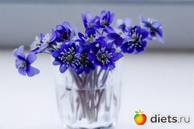 ������ �������� ��������